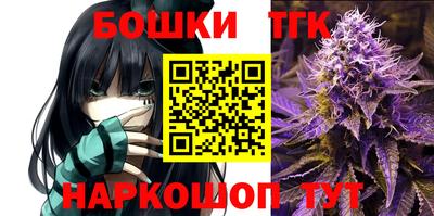 тгк Будённовск